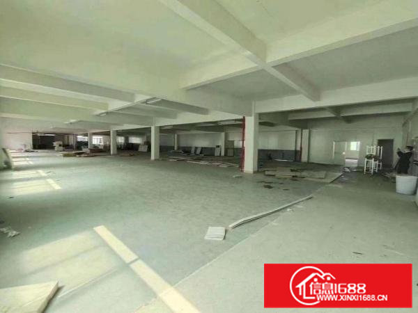 清溪新出独栋厂房出租,500平方起租,共计10500平方