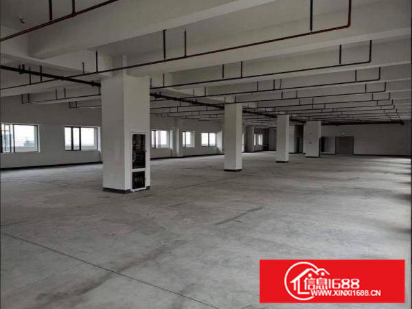 蛟乙塘工业区新出2500平原房东独门独院厂房出租电商仓库分租