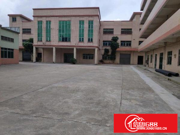 大朗镇独院钢构厂房招租，滴水12米