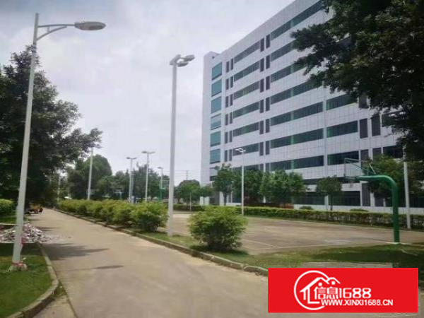 桥头镇新出全新花园式红本厂房21500平招租独栋