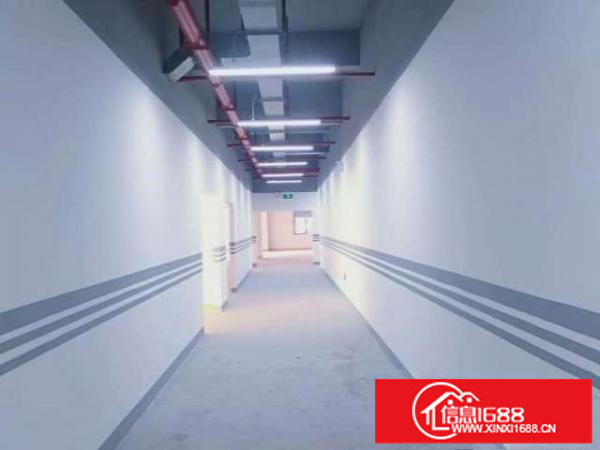 中城先进制造产业园招租200-20000平方（非中介）