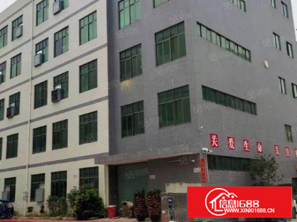 塘厦大坪古寮四路新出原房东厂房5500平方可分租