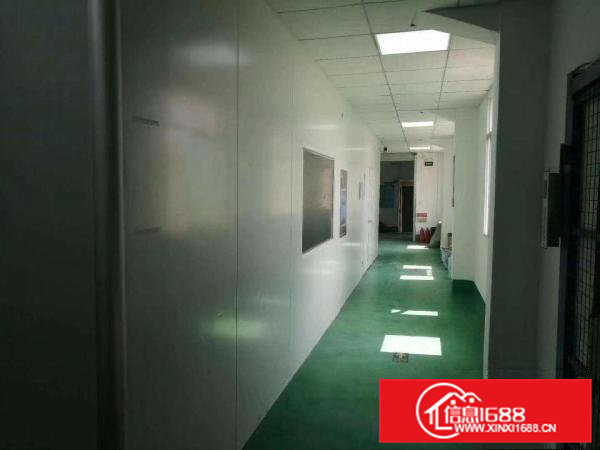 口罩客户电子客户的福音！高标准千级无尘车间1500平。