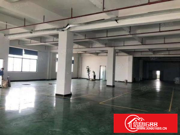 大朗镇石夏楼上800平方精装修