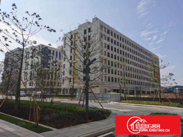 华南城国有双证标准厂房出租有单层面积3000平可分租