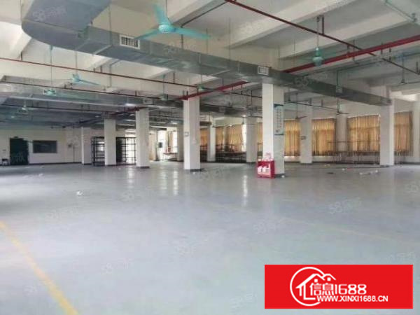 万江简沙洲靠港口大道环城路原房东标准独门独院，独立宿舍办公