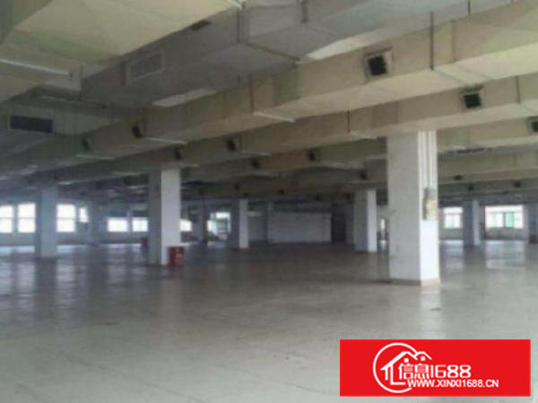 高埗城区?一楼1000平带装修高7米厂房出租