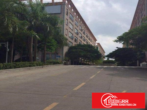 坪山坑梓新出1460方1.2楼厂房出租，全新厂房！