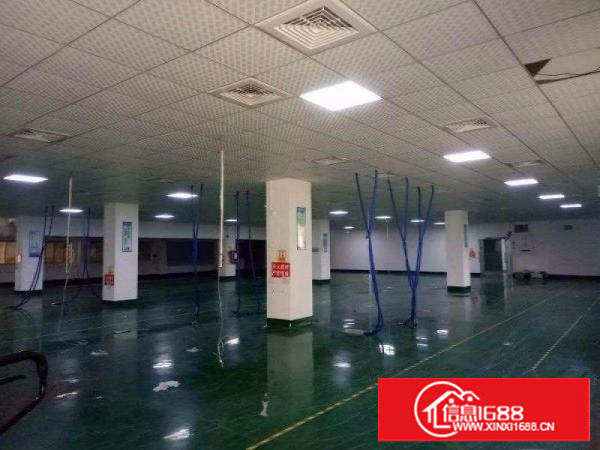 【~沙湖300，500，630，800平楼上厂房，精装修~】