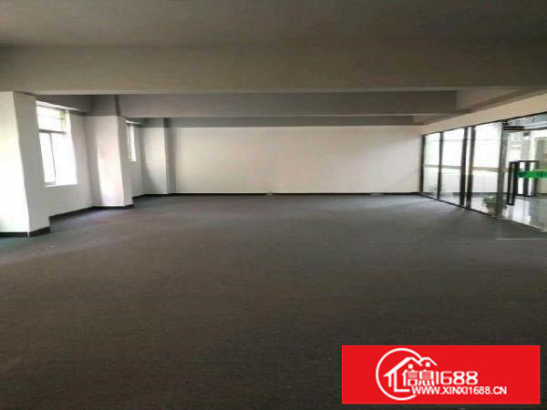 坂田杨美附近上雪科技园电商厂房仓库500平米出租