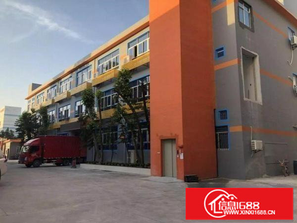 木棉湾65平/100平/200平/300平写字楼厂房