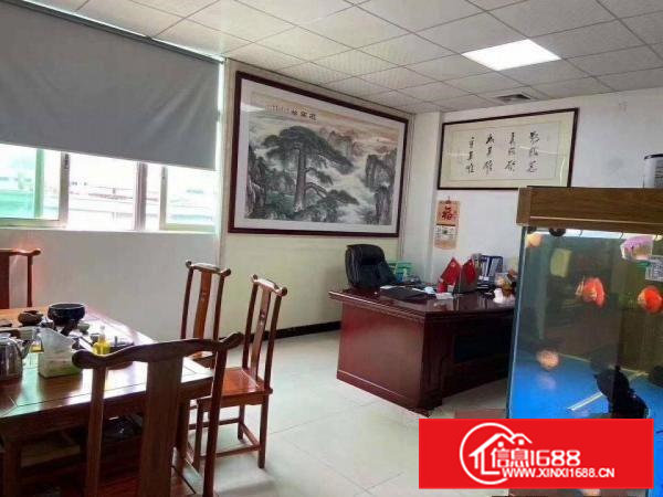 （口罩证件）的洁净车间，豪华装修，价格好谈，环境优美，空地大