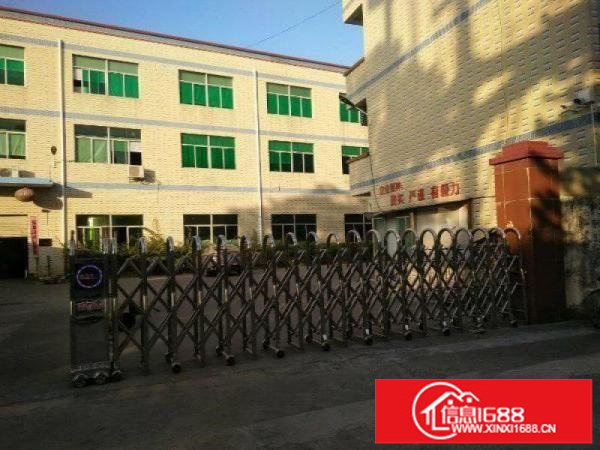 龙岗爱联精装修1000平厂房底价出租（无需转让费）