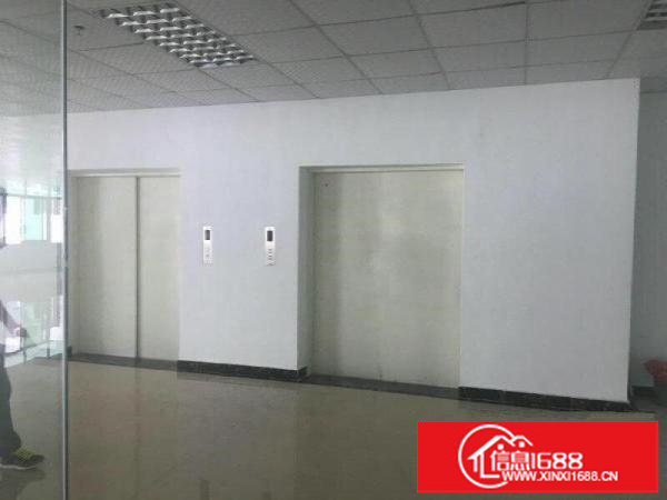 横岗安良原房东4800平带装修厂房出租，可分租