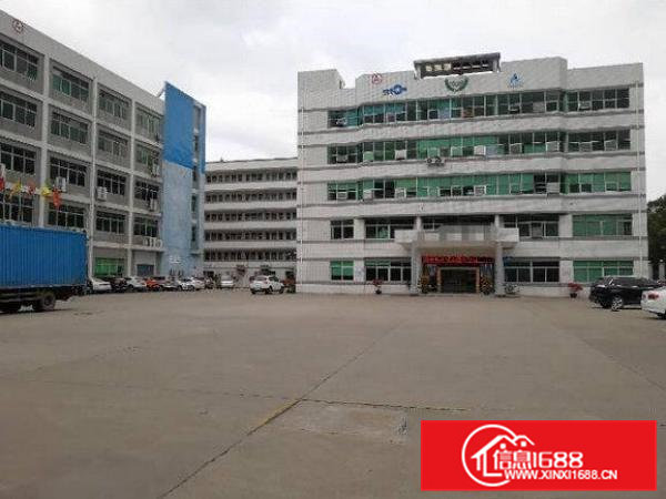 常平塘角新出二楼一整层650平方带装修