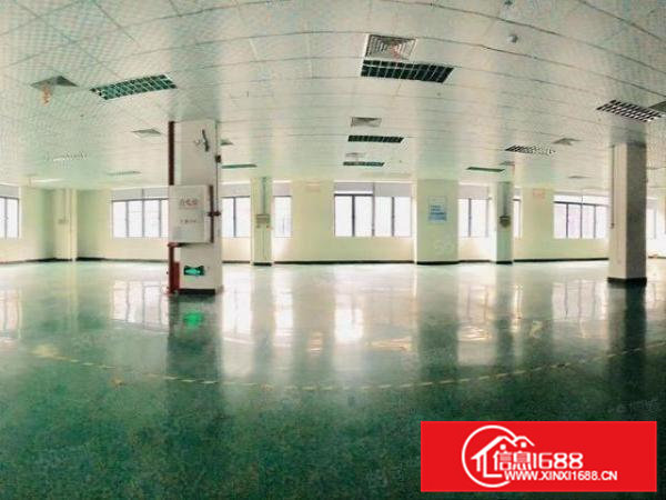 松山湖原房东标准厂房分租