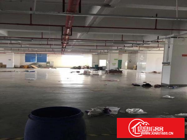横岗大厦附近二楼1100平米带装修厂房出租有卸货平台