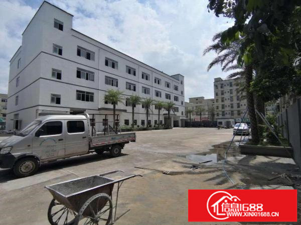 龙岗宝龙街道标准厂房一楼1290平方出租，可分租电有630