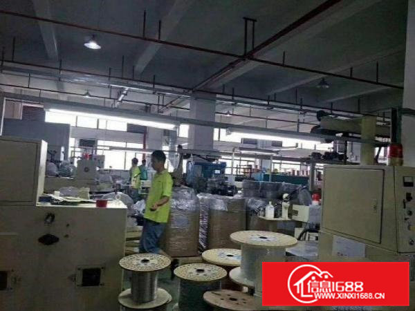 石排水贝免租期空出3楼1200平厂房带装修无公摊