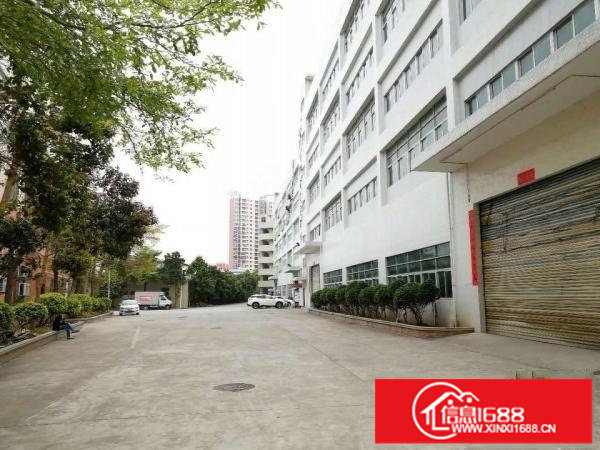 横岗四联路边上新出1250平米厂房出租可分租带装修