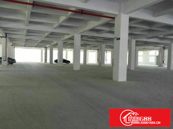 独院两层6栋厂房4200平方，一楼8米高