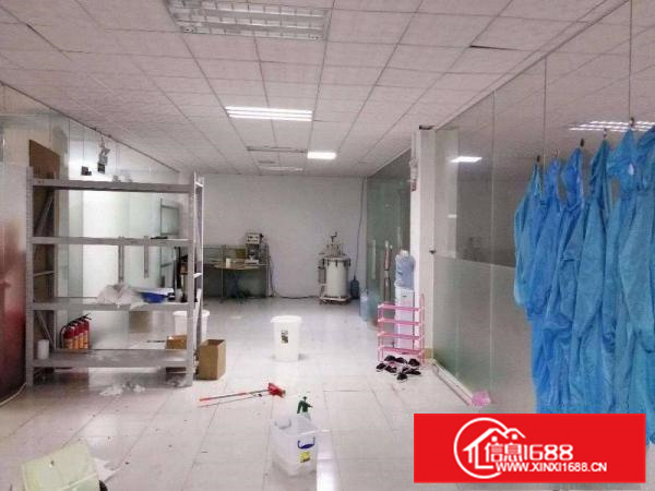 惠阳秋长镇钢构厂房2500平方，可以喷油原房东