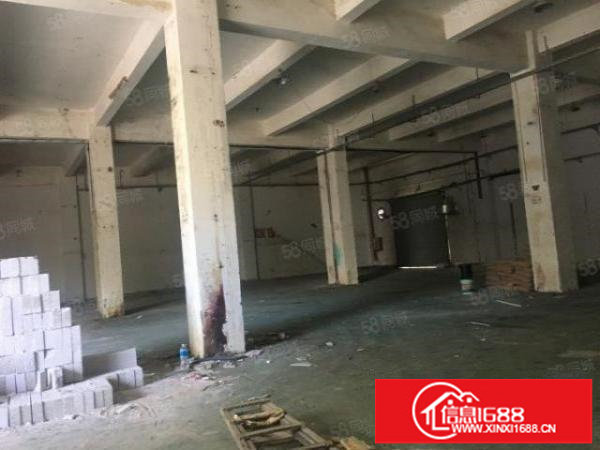 大康独院2层3200平方出租，可分层租