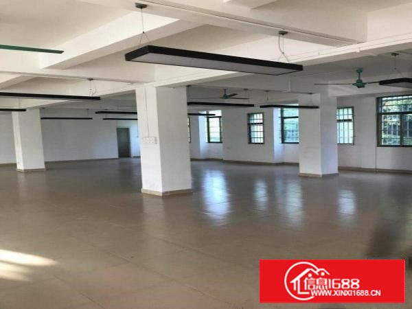 业主直租樟木头金河工业区