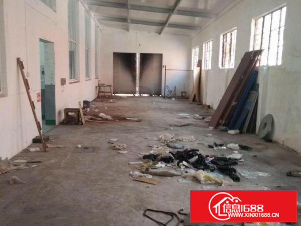 新鲜！原房东独栋1000平大小可分租。采光好，配办公室证件齐