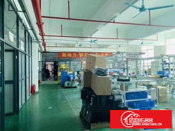 求租！！！形象好，拎包入住1000平米龙背岭或者科苑城附厂房