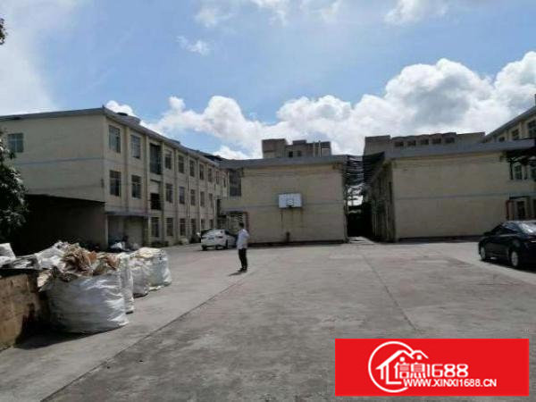 出租坪山区石井路口附近独栋钢构厂房1000平方，高度8米