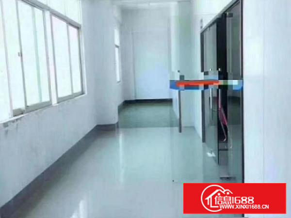 出租茶山茶山城区240平现成装修小厂房，水电到位0成本入驻！