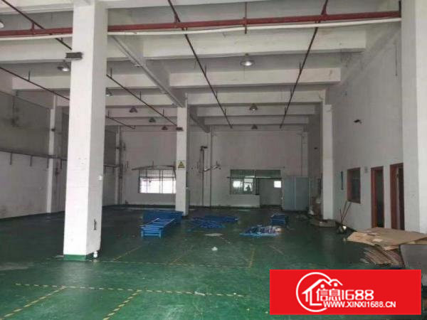 出租横沥村头标准厂房分租一楼500平方