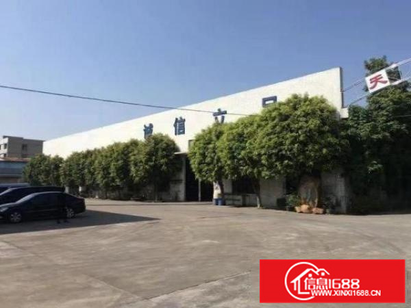 容桂标准800厂房出租、形象好、招工易、近大马路