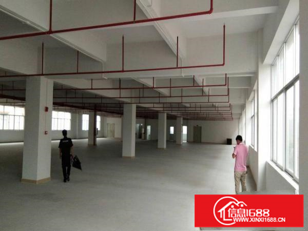 镇隆高田工业园标准厂房一，二楼3200平方招租