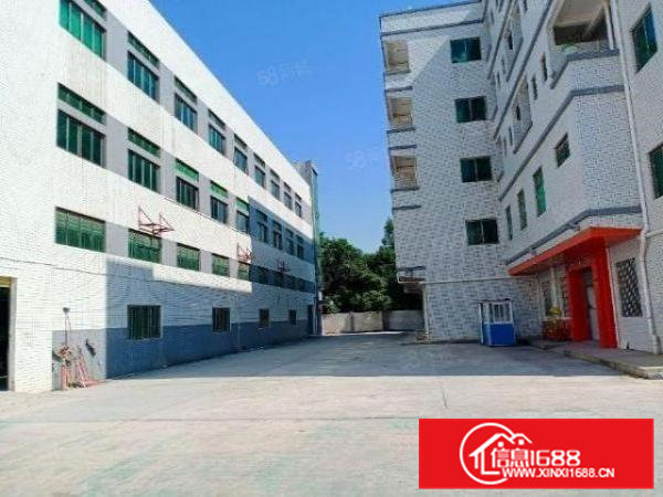 茶山花园式独院厂房分租一楼4000方，高度6米，面积实量。