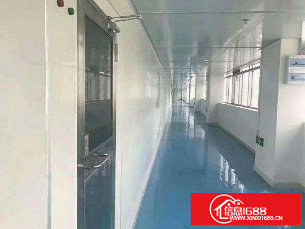 龙岗嶂背原房东3600平独院带装修厂房出租可分租