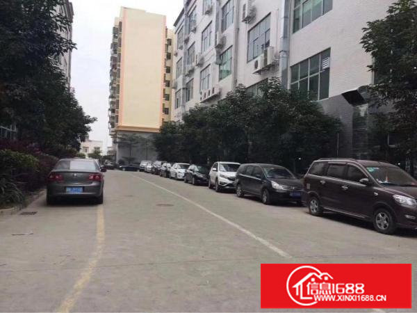 观澜主干道边花园式厂房，形象高大上，6400平方