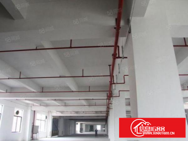 2500方900方标准一手厂房消防过关水电齐全