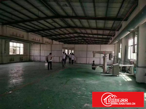 《可做污染》新圩镇东风村新出2层钢构6000平招租