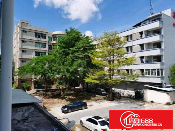 千年等一回！松岗大田洋！手快有手慢无！租到就赚到！