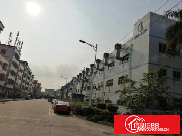 业主直租可议价坑梓厂房空地大使用率高