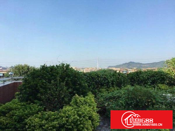 东莞市黄江镇社贝村，与樟木头常平三镇交介处，临近高速