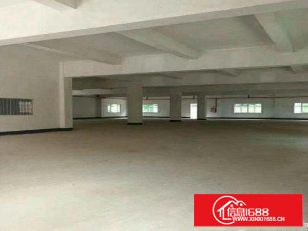 塘厦大坪厂房1350平出租，大空间带全新电梯