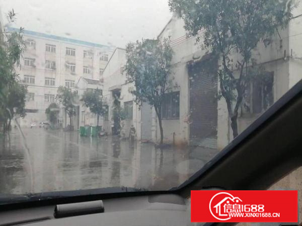 容桂高黎厂房3000出租、可分租、交通方便、空地大