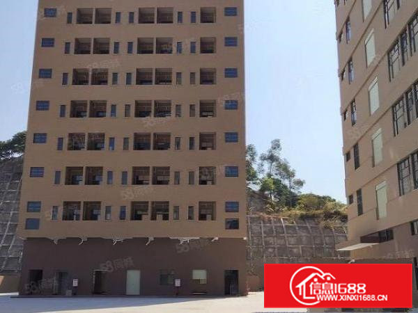 工业聚集地全新独门独院厂房，超大空地可办环评，可分租。