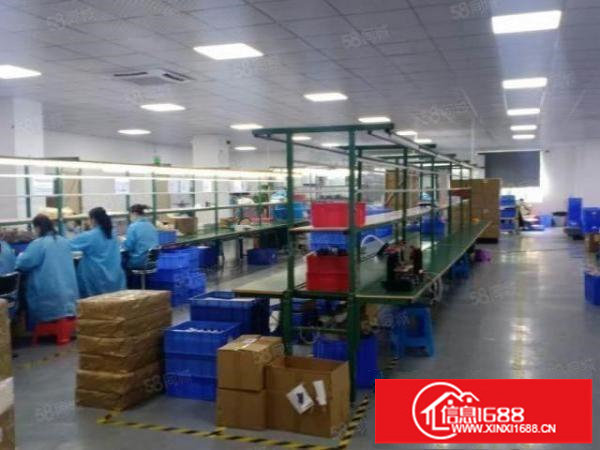 豪华精装修厂房招租，面积1800平。