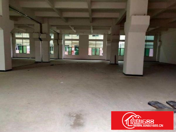 燕窝原房东厂房一楼600平方带牛角高度6米