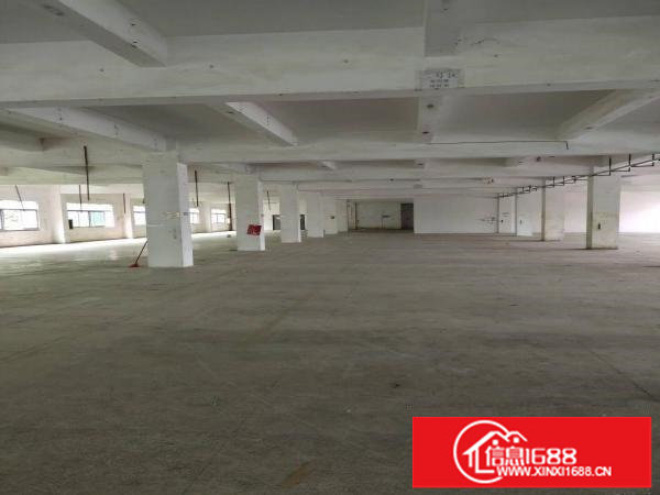 坂田上李朗独栋厂房300平米起大小分租车位足仓库电商电子等等