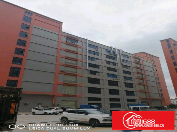 大朗一手厂房业主火爆招商